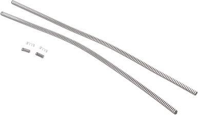 CMMG 22LR Spring Kit