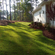 What’s the Difference Between Grass Seed and Sod, and Why Sod is Better for Southeast Lawns 