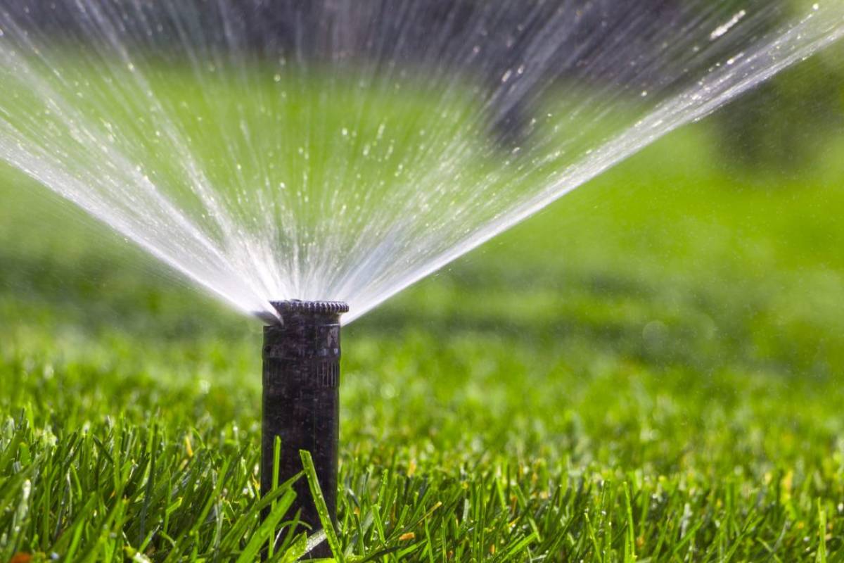 How to Water New Sod SodStar