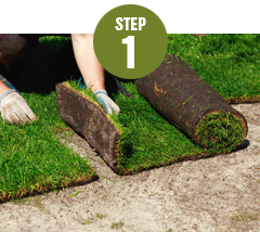 Install the sod immediately after delivery