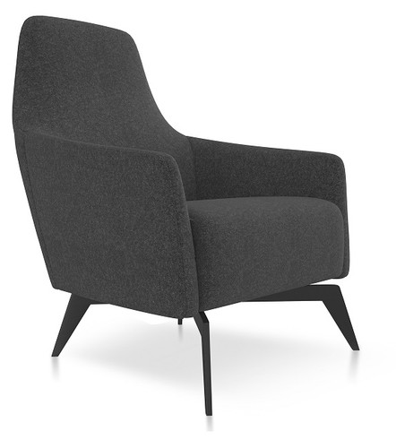 Anza Lounge Chair - 36.5"H x 26"W x 21.5"W x 29"D - (FRIFD356CHARCOAL)