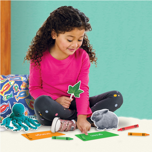 Trend Colors All Around Us Learning Set - Learning Theme/Subject - Durable, Reusable, Sturdy - - 1 (TEPT19005)