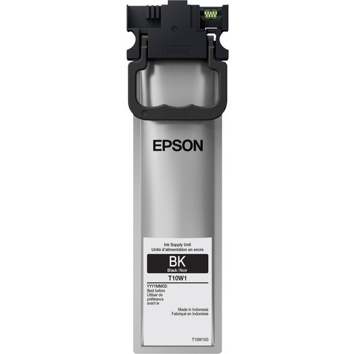 Epson Corporation EPST10W100
