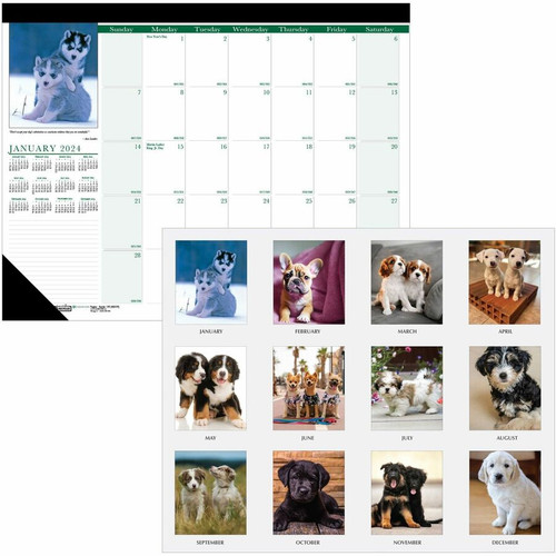 House of Doolittle Earthscapes Puppies Photo Desk Pad - Julian Dates - Monthly - 12 Month - January (HOD199)