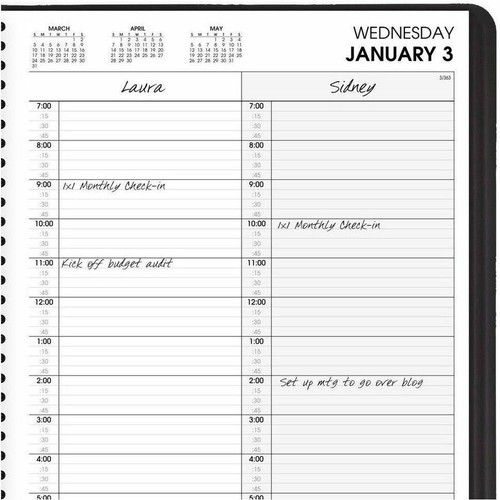 At-A-Glance 2-Person Appointment Book - Julian Dates - Daily - 1 Year - January 2024 - December - - (AAG7022205)