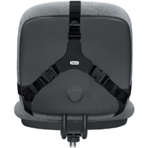 Fellowes Professional Series Back Support with Microban Protection - Strap Mount - Black - - 1 (FEL8037601)