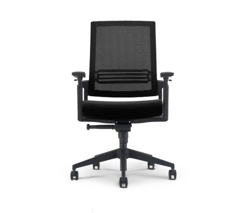 Forte Ergonomic Multi-Function Chair (CD-1B)
