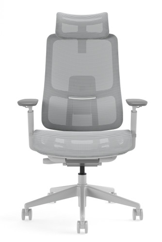 Agile 2 Tones Gray Super Ergonomic Office Chair (CD-2G), main product view (CD-2G) Agile 2 Tones Gray Super Ergonomic Office Chair (CD-2G), main product view (CD-2G)