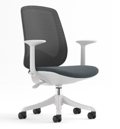 Base Seating White Polypropylene frame Grey mesh back Grey fabric seat White Fixed PP armrest Can be converted to armless (CD-856W) Base Seating White Polypropylene frame Grey mesh back Grey fabric seat White Fixed PP armrest Can be converted to armless (CD-856W)