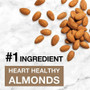 KIND Madagascar Vanilla Almond Nut Bars - Trans Fat Free, High-fiber, Low Sodium, Dairy-free, - - - (KND17850)