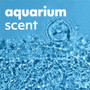 Softsoap Aquarium Hand Soap - Fresh Scent ScentFor - 7.5 fl oz (221.8 mL) - Soil Remover, Bacteria (CPCUS04966ACT)