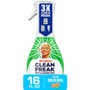 Mr. Clean Deep Cleaning Mist - 16 fl oz (0.5 quart) - Gain Scent - 1 Each - Easy to Use, Deodorize (PGC79127)