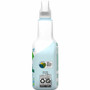 CloroxPro EcoClean Glass Cleaner Spray - 32 fl oz (1 quart) - 1 Each - Bio-based, Dye-free, (CLO63086)