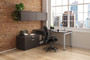 Modern L-Shaped Desk with Low Storage and Wall Mount Hutch (MOSSUITEPLT63)