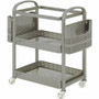 Lorell Mobile File Cart - 12.50" Length x 22.40" Width x 25.25" Height - Metal Frame - Champagne - (LLR45654)