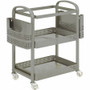 Lorell Mobile File Cart - 12.50" Length x 22.40" Width x 25.25" Height - Metal Frame - Champagne - (LLR45654)