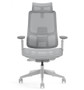 Agile 2 Tones Gray Super Ergonomic Office Chair (CD-2G)