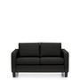 Two Seat Sofa - LuxPlus Black (OTG13052-L01P)