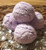X3 Purple Bubblegum Bubble Scoops (Wholesale)