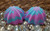 Pink, Purple & Blue Twister Bath Bomb