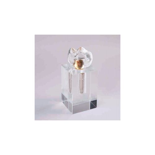 Modelo Implante com base transparente