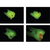 Óculos Fluoresce HD