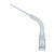 Insertos de endodontia tipo E: Compatíveis com EMS e Woodpecker