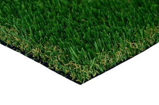 Turf close up