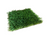 Fairmont 80-Lux Lawn synthetic turf