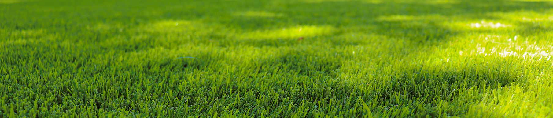 Shop Synthetic Turf Maintenance Products