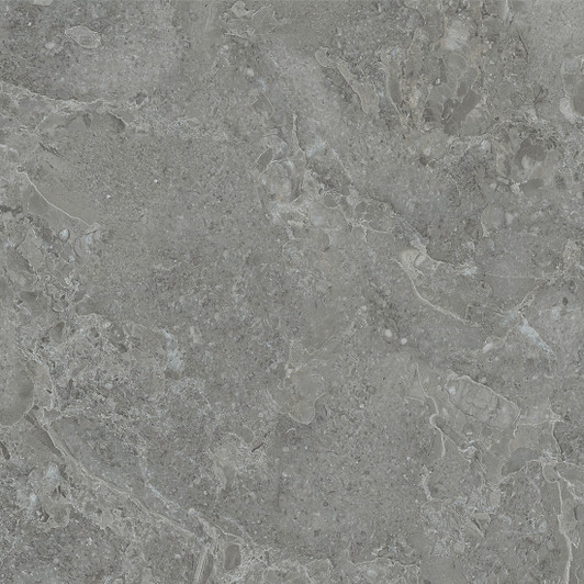 Ivy Dark Grey Matt Porcelain outdoor Tile 60x60cm