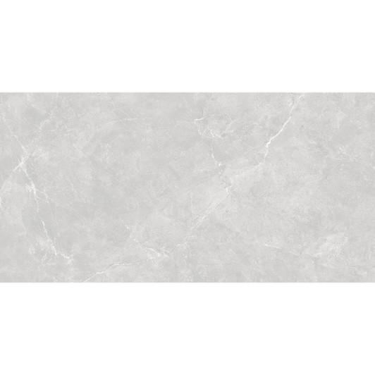 Paloma Matt light grey porcelain floor and wall tile, rectified, 120x60cm