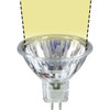 12V 20w Clear Halogen MR16 Spot Light Bulb - 20W-MR16-12V-S