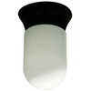 120V Fluorescent Surface Mount Jar Ceiling Light - W4850-GU/13 - DABMAR