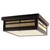 XPC-015 Ceiling Light in old bronze and honey glass