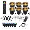 RGBCW 12V LED Curved Grill NSC In Ground Well Light Landscape Lighting 6 Kit Shown in Brass