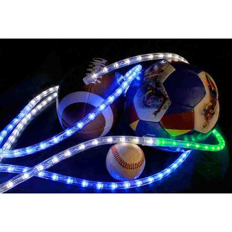 LED and Incandescent Rope Lights AQLighting