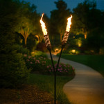 Fun & Themed Lights
