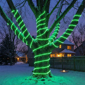 Christmas Rope & Strip Lights Christmas Rope & Strip Lights