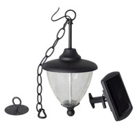 Hanging Light Main View