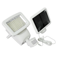 Motion Sensor Light Main View