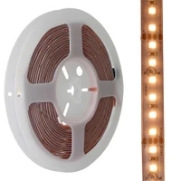 Warm White Reel - Strip Illuminated