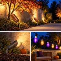 Halloween Offers