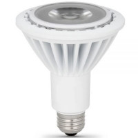 LED PAR30