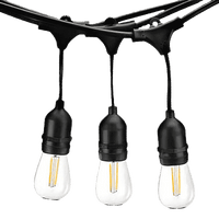 String Lights