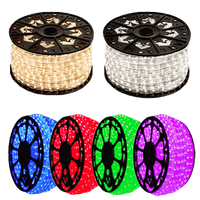 Rope Light