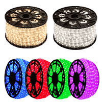 LED 2 Wire Rope Light - 120V