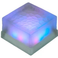 In Ground Paver Lights