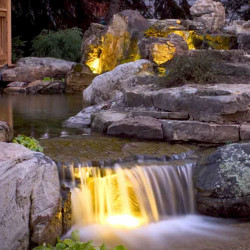 The Art of Illumination: Choosing the Right Pond Lights