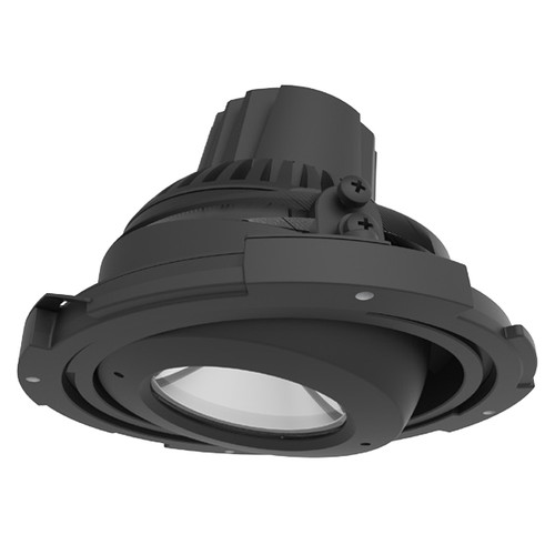 Shown in Black Shown in Black